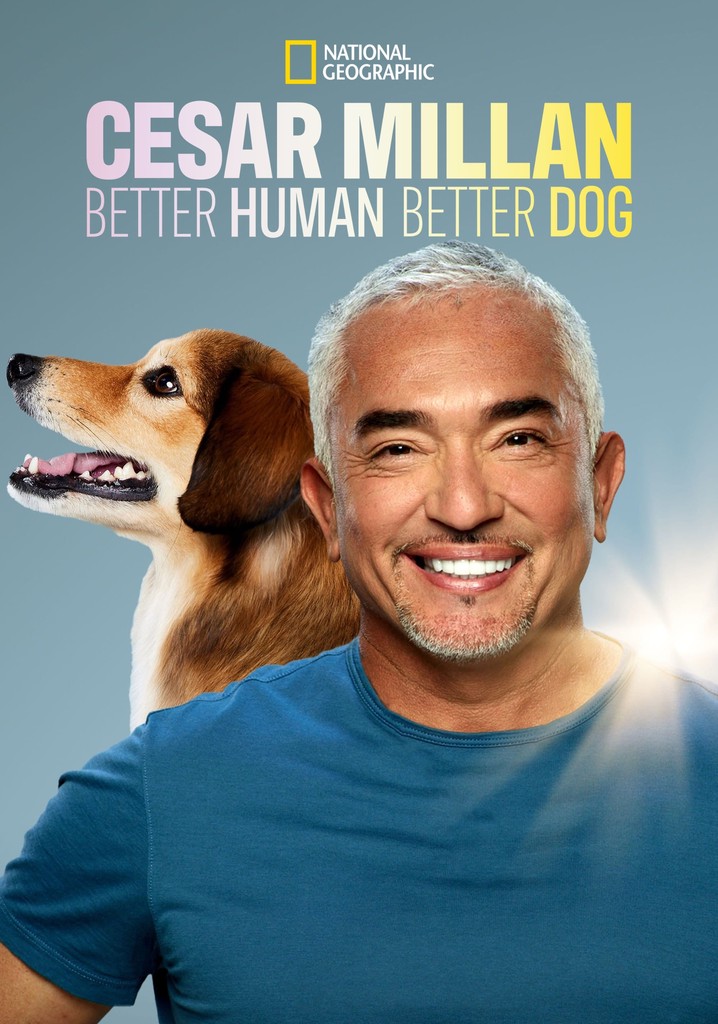 Cesar Millan: Better Human, Better Dog Season 2 - Streaming